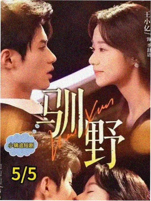 长线群像剧集编目卡封面图